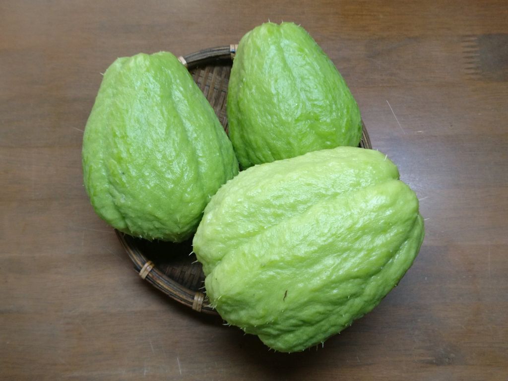 ハヤトウリ（緑） 1kg